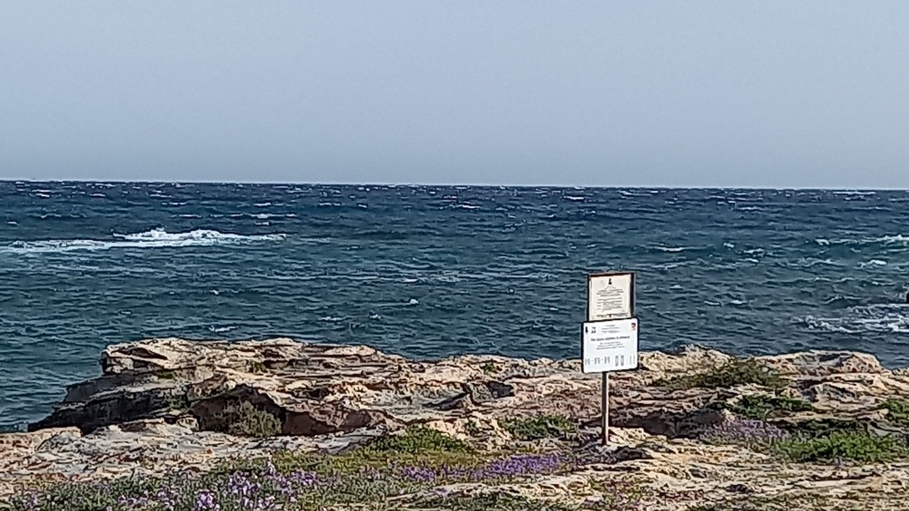 Photo of Others in Favignana
