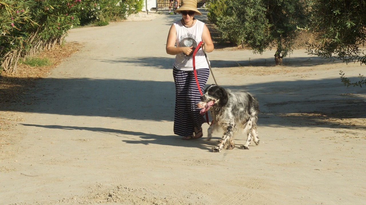 Photo of Others in Muravera