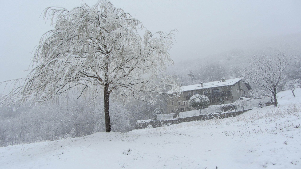 Photo of Outdoor in Saint-Denis