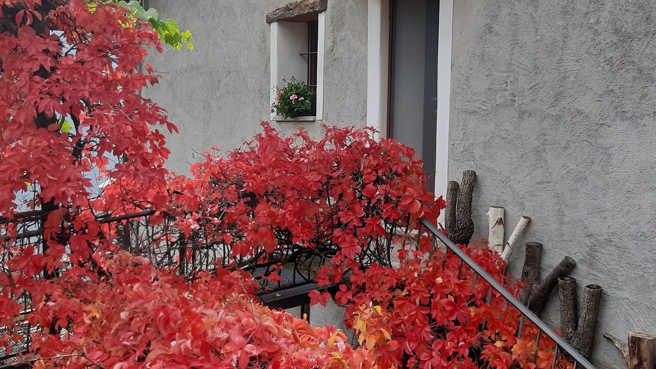 Photo of Outdoor in Saint-Denis