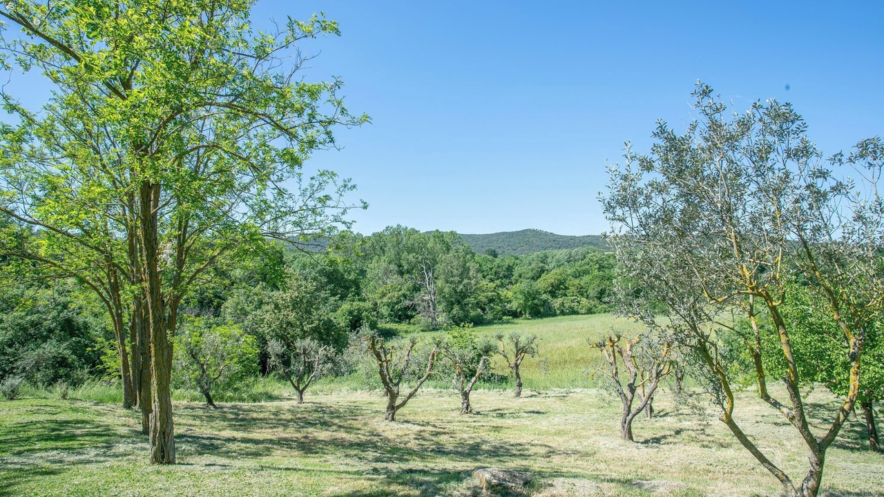 Photo of Others in Magliano in Toscana