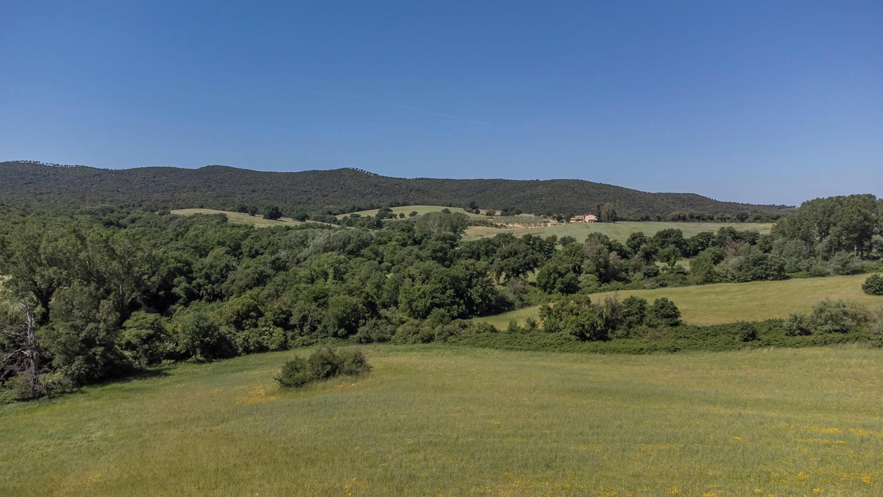 Photo of Others in Magliano in Toscana