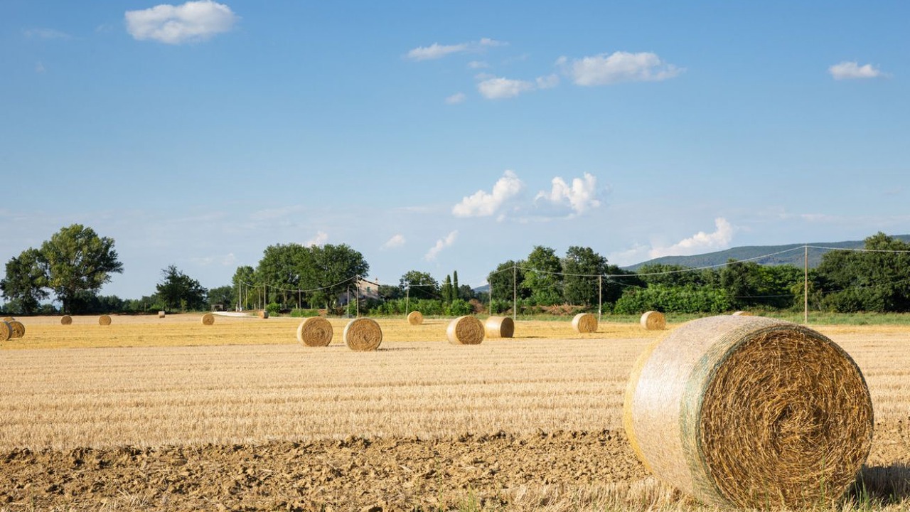Photo of Others in Marsciano