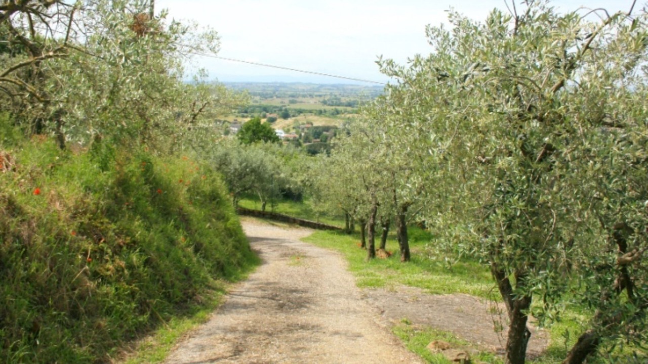 Photo of Outdoor in San Pietro a Cegliolo