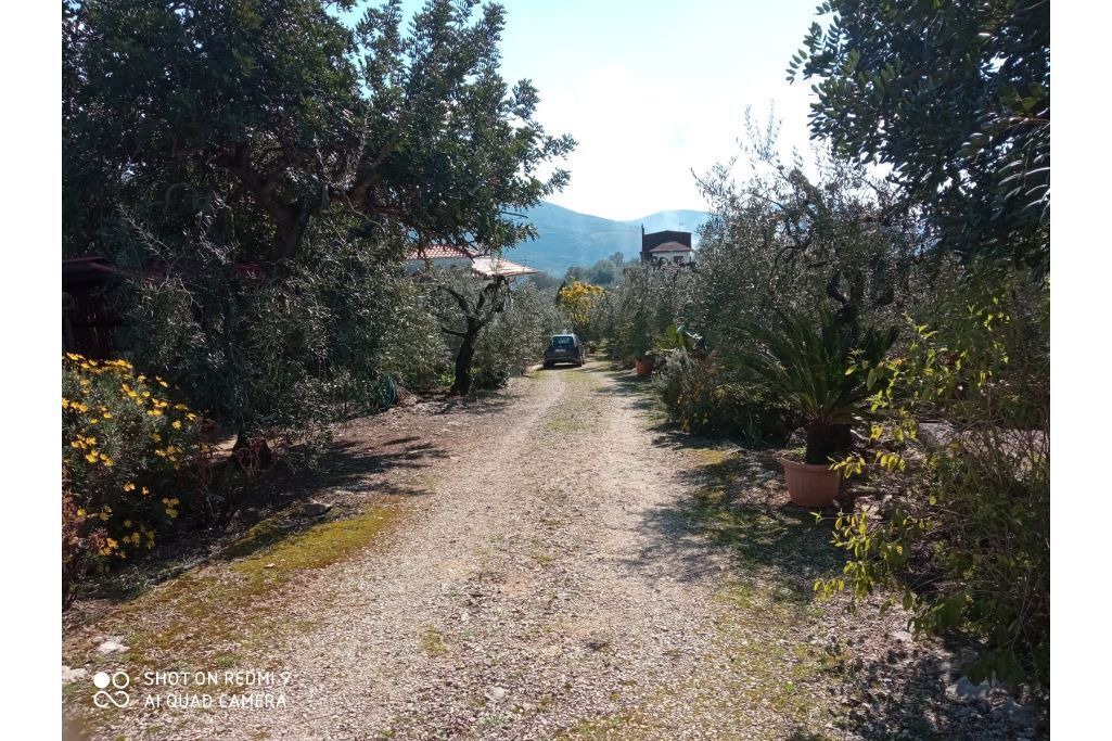 Photo of Outdoor in Sonnino