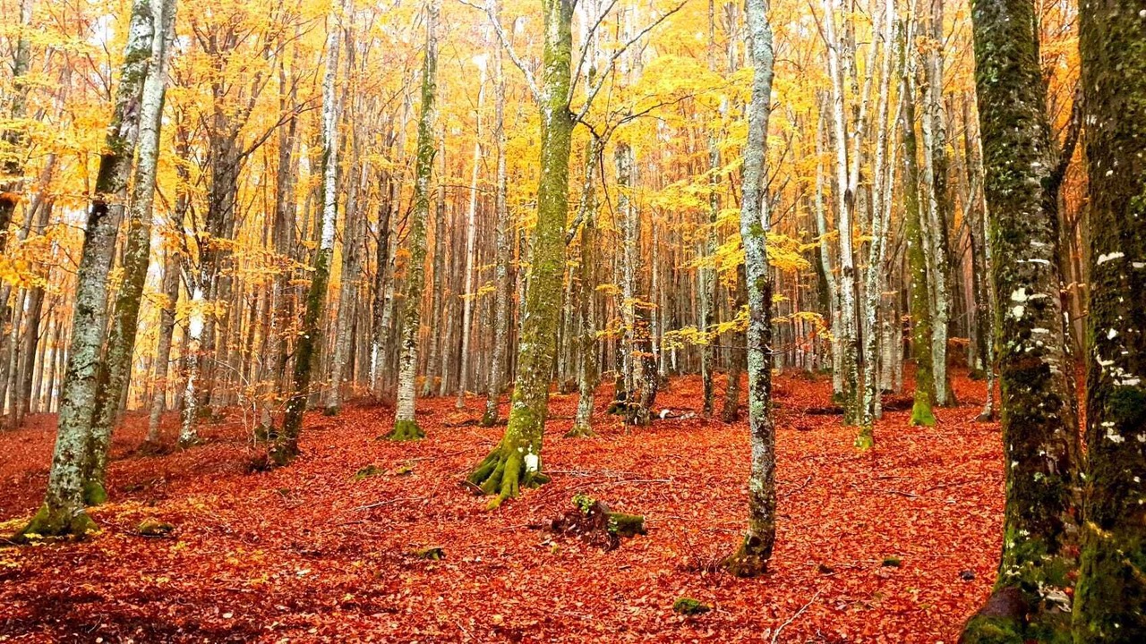 Photo of Outdoor in San Romano in Garfagnana