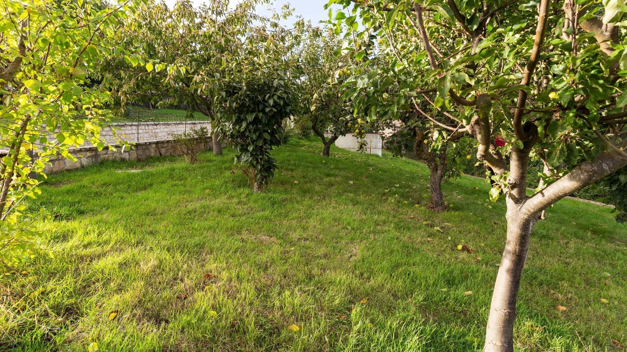 Photo of Outdoor in Campobasso
