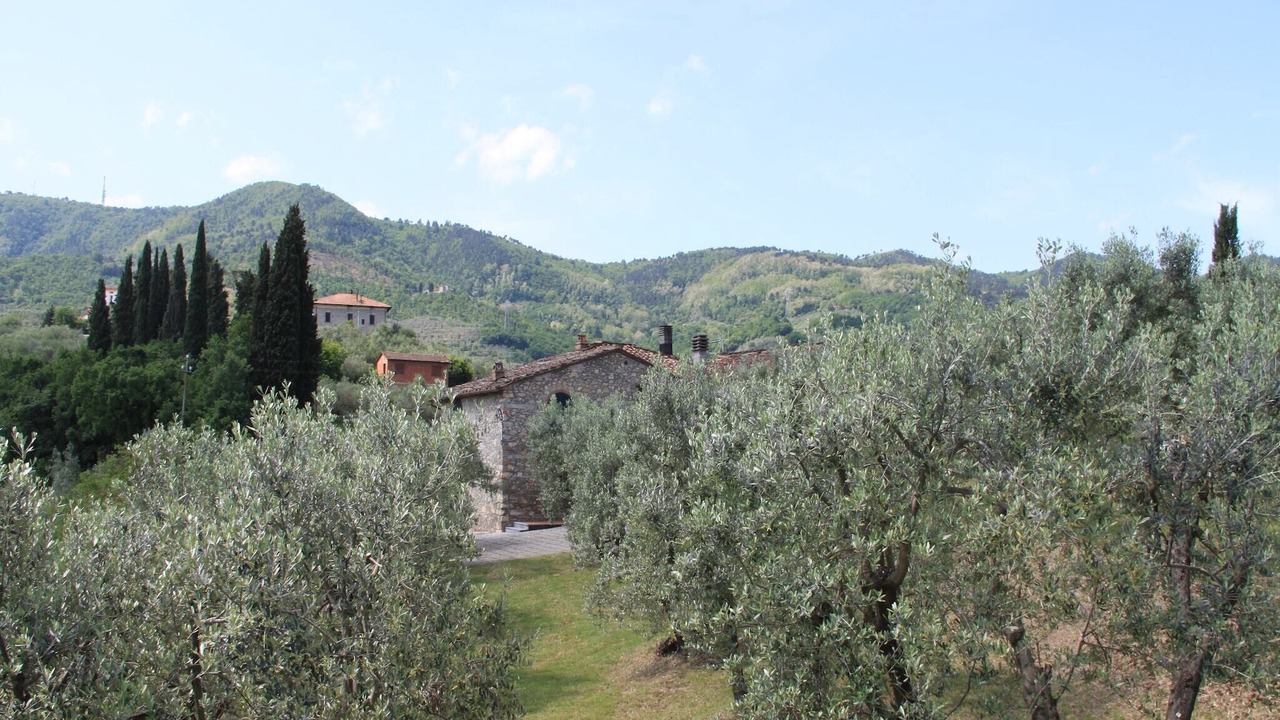 Photo of Outdoor in Quarrata