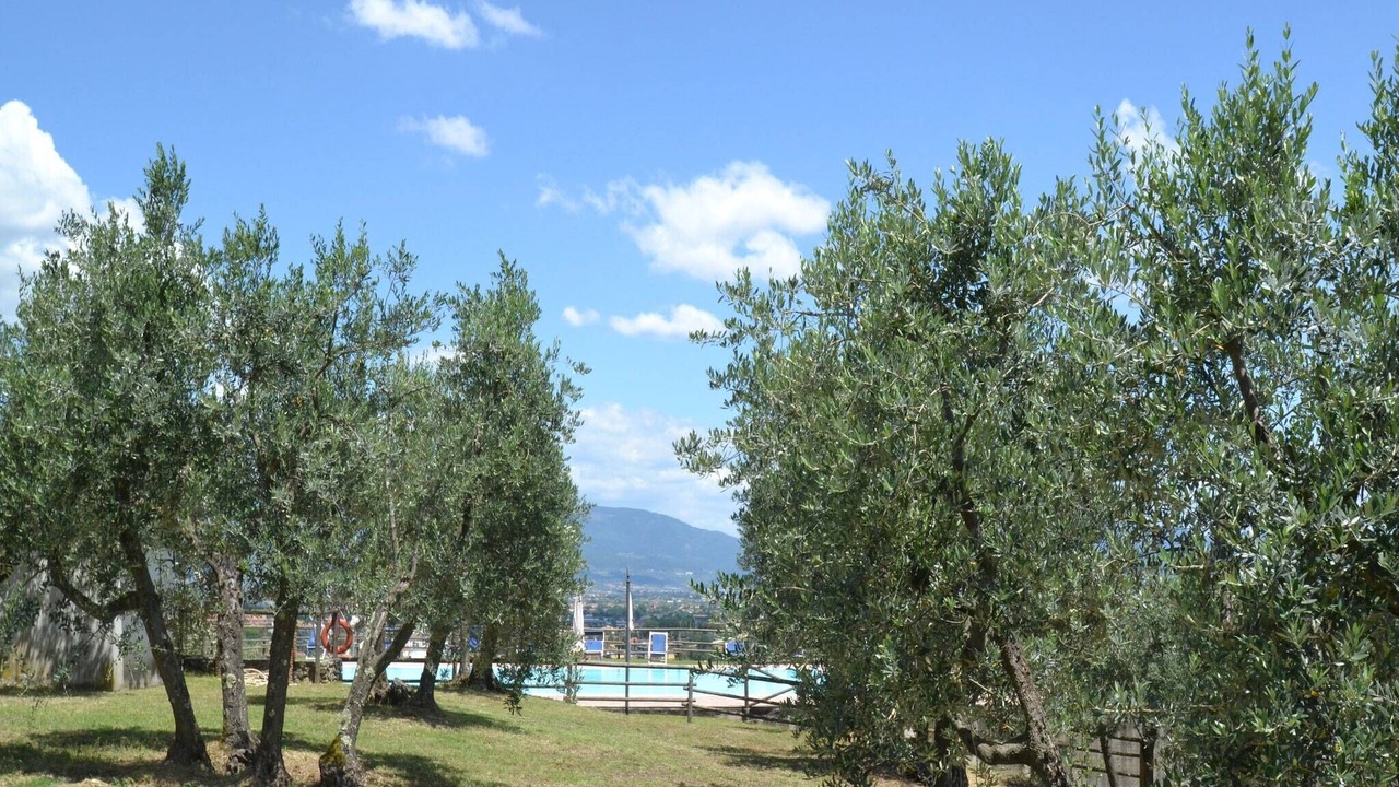 Photo of Outdoor in Quarrata