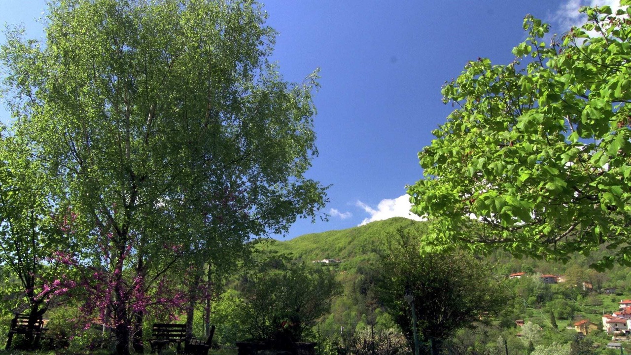 Photo of Outdoor in Bardalone