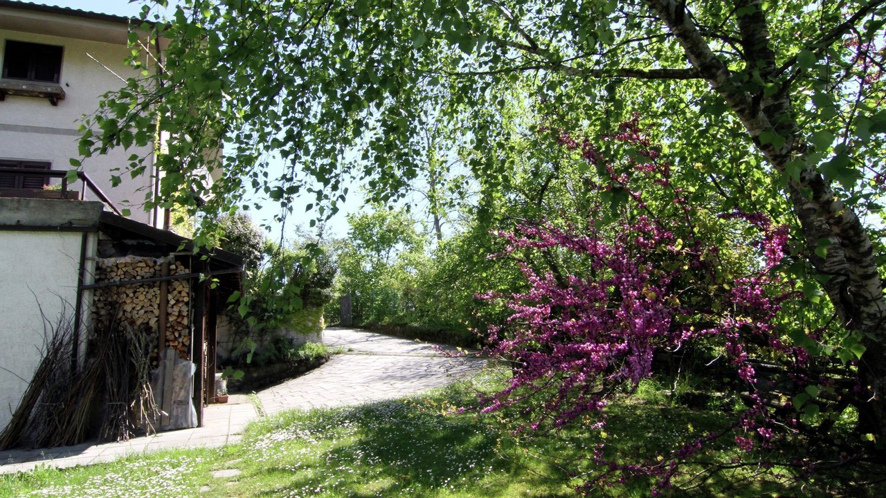 Photo of Outdoor in Bardalone