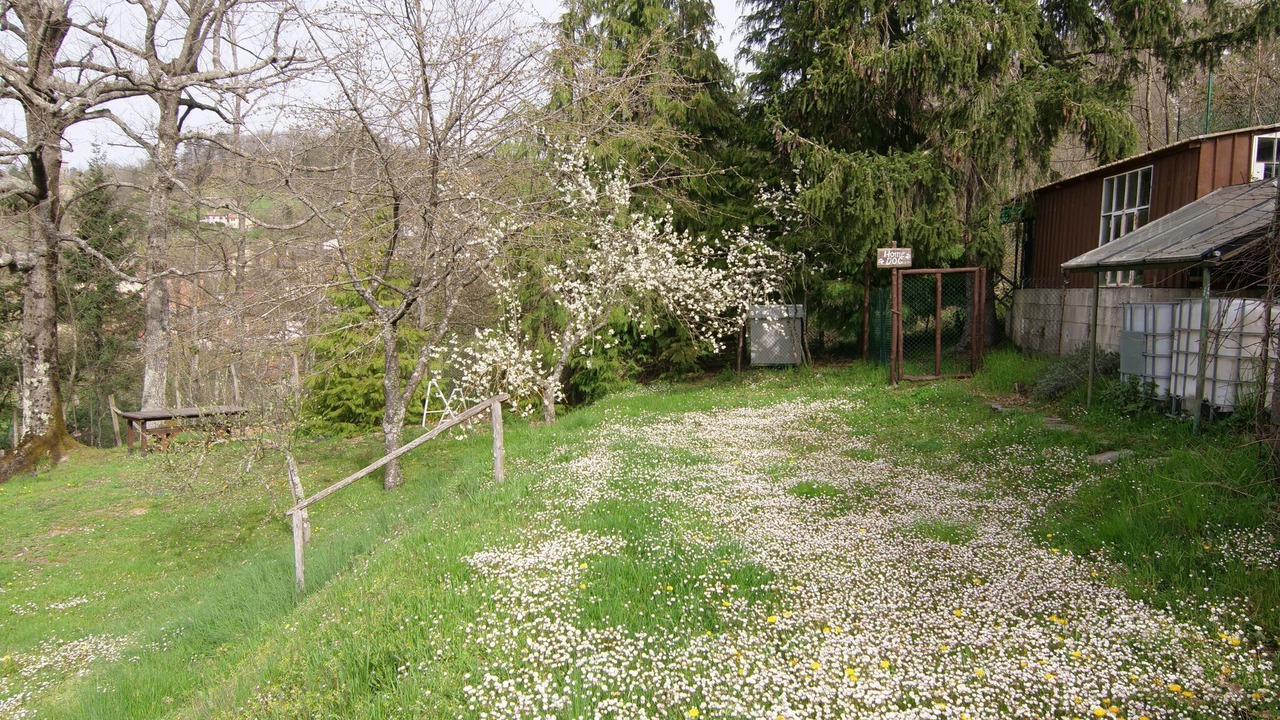 Photo of Outdoor in Bardalone