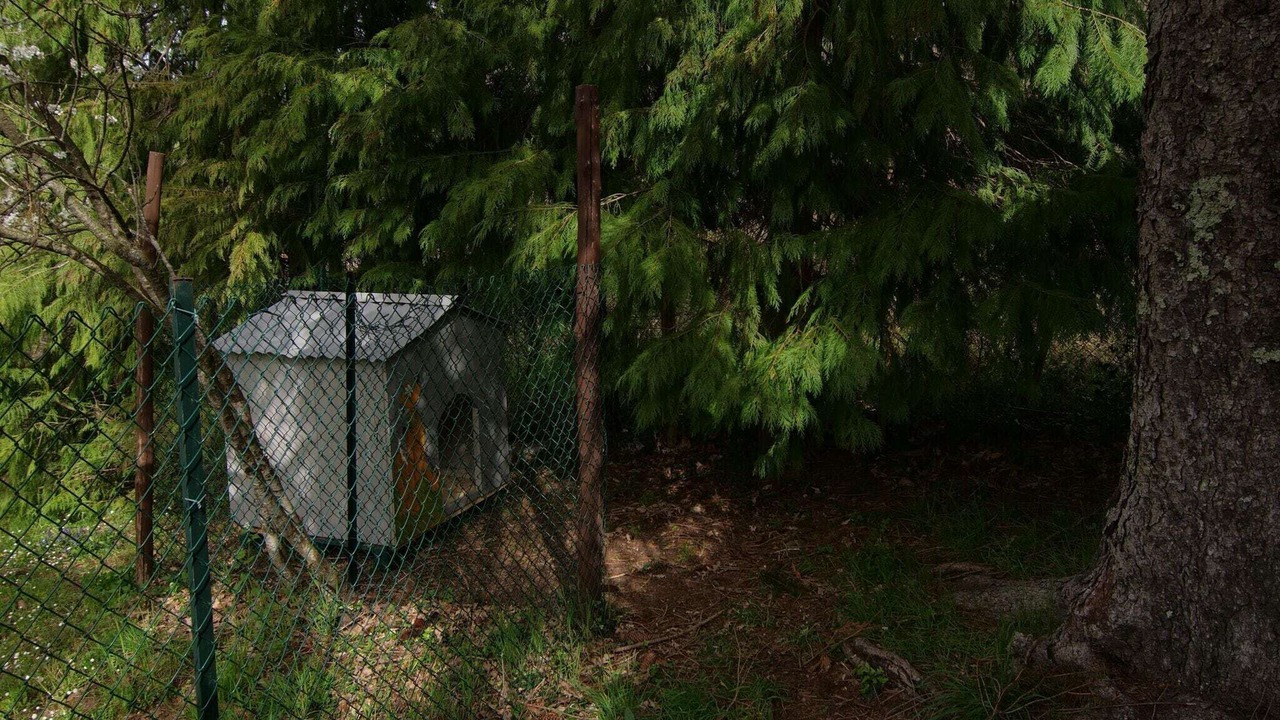 Photo of Outdoor in Bardalone