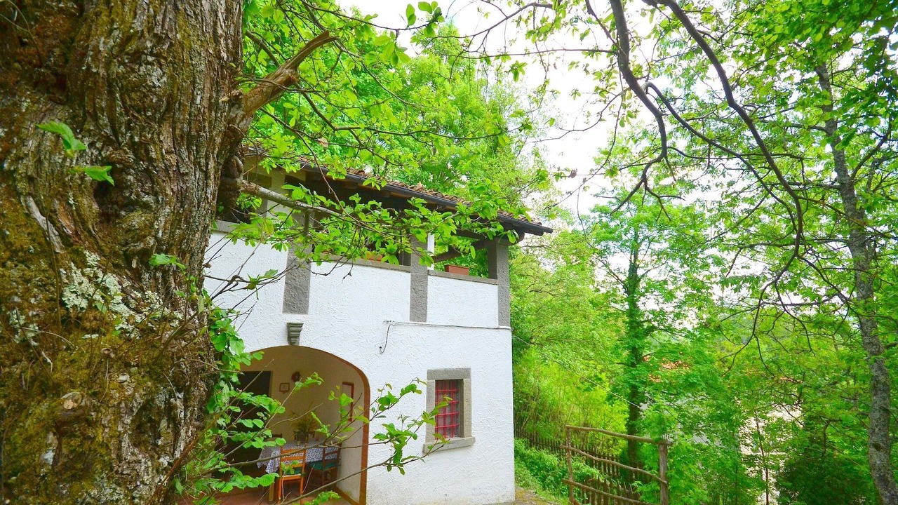 Photo of Outdoor in San Marcello Piteglio