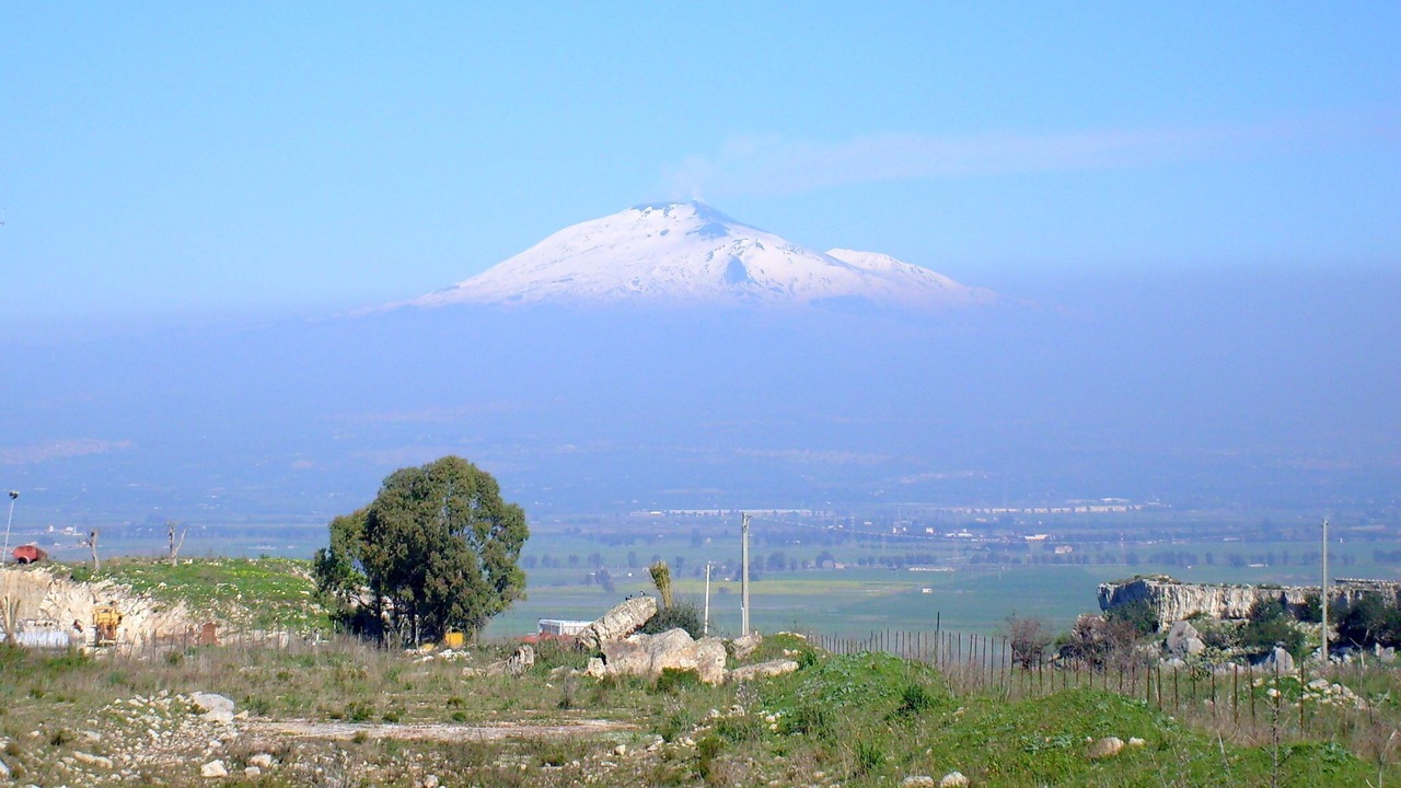 Photo of Others in Lentini