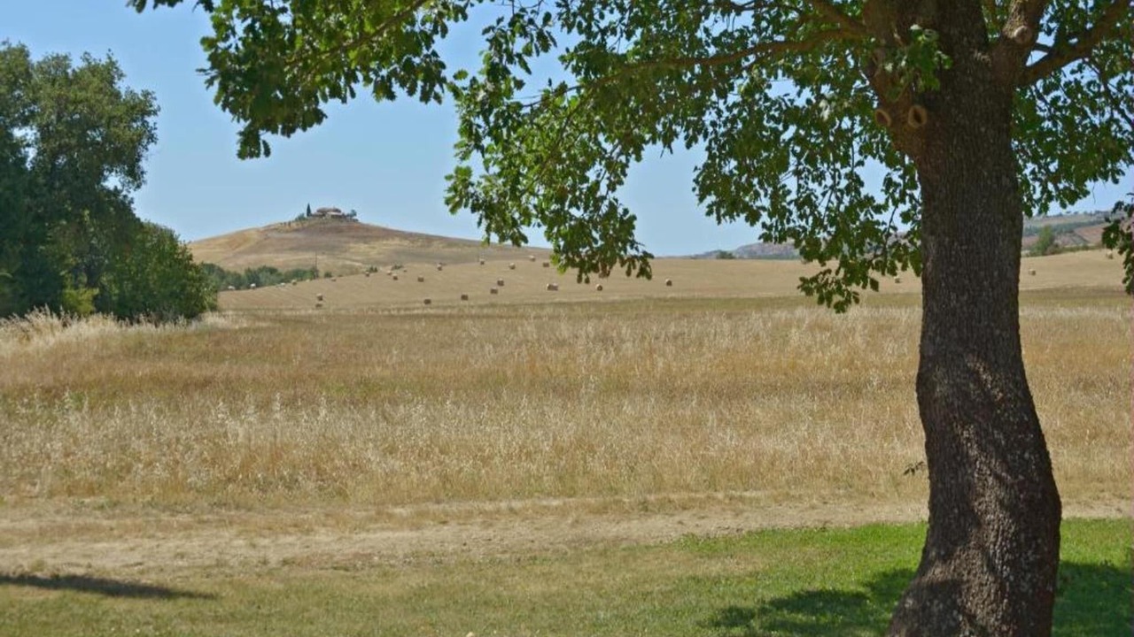 Photo of Others in Bollano