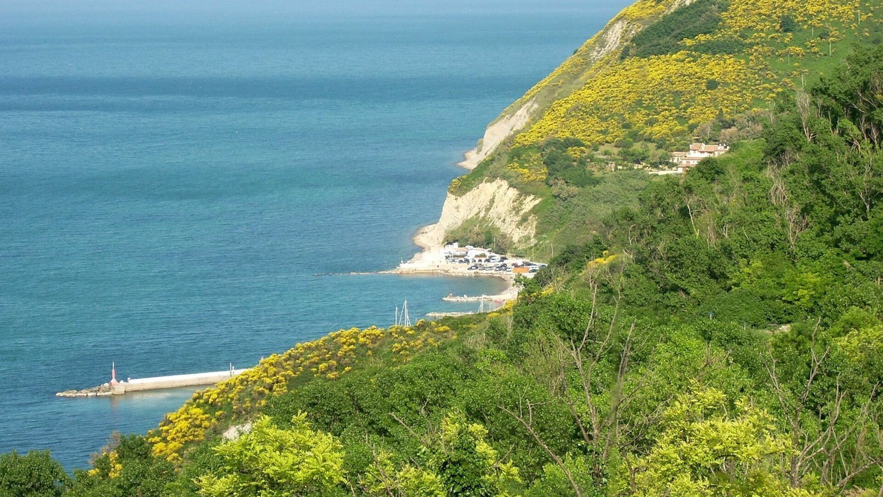 Photo of Others in Granarola
