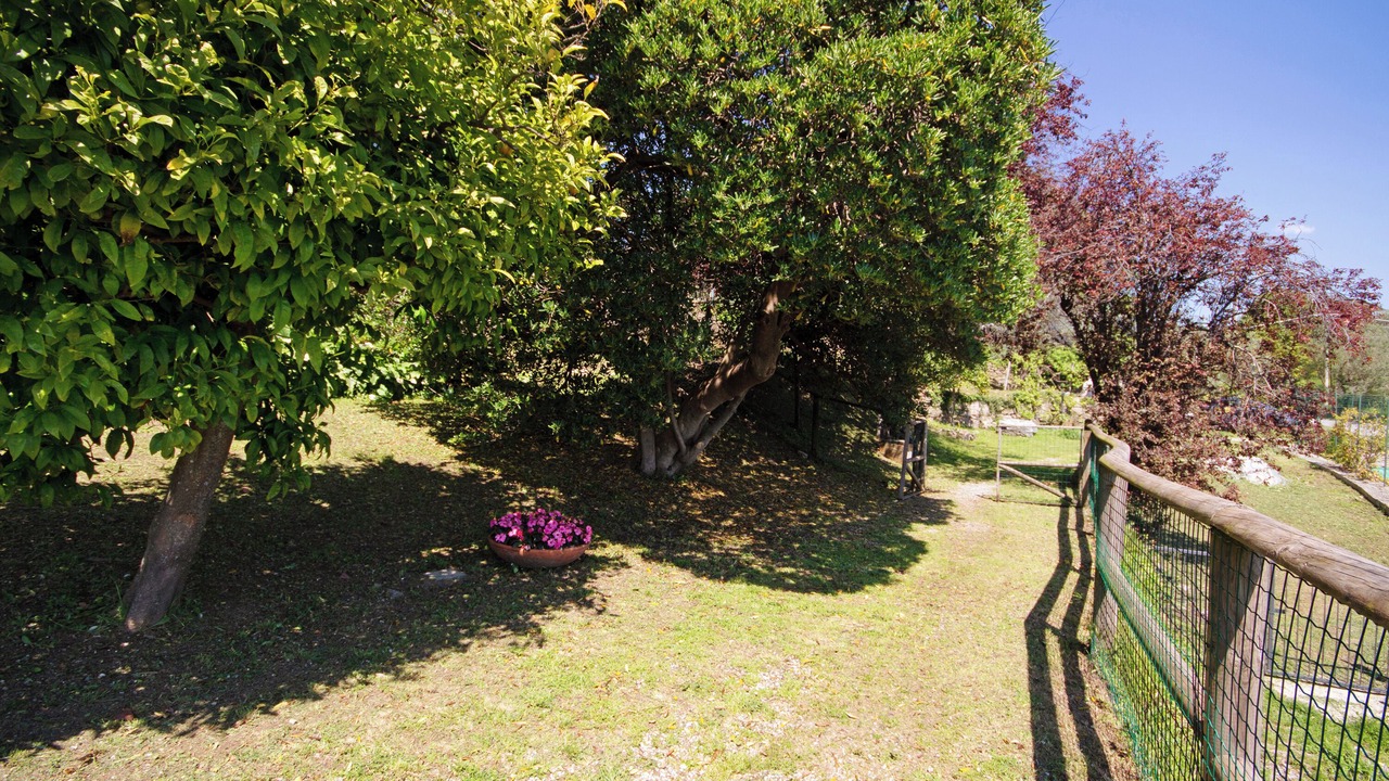 Photo of Outdoor in Ruta
