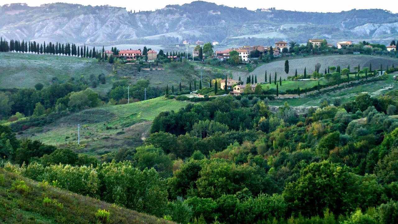 Photo of Others in Sughera