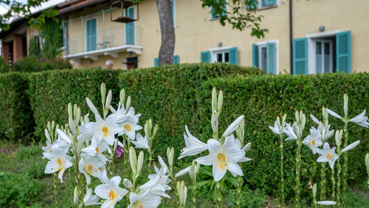 Photo of Outdoor in Cortazzone