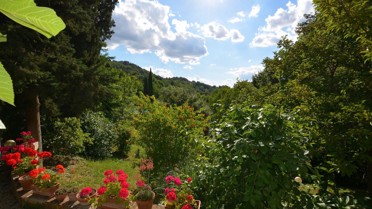 Photo of Outdoor in Radicondoli