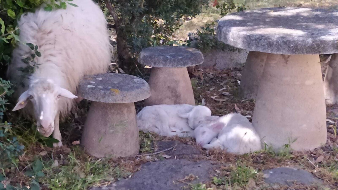 Photo of Outdoor in Galtelli