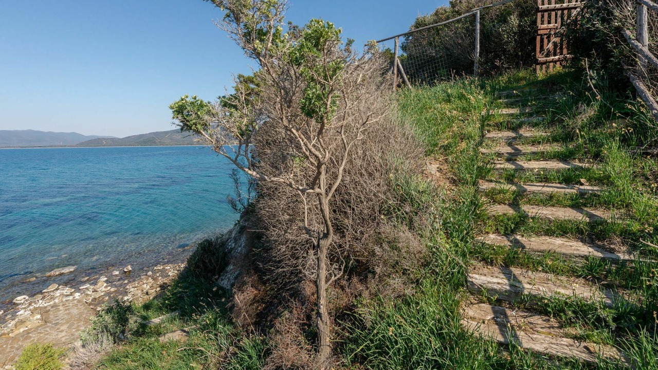 Photo of Others in Punta Ala