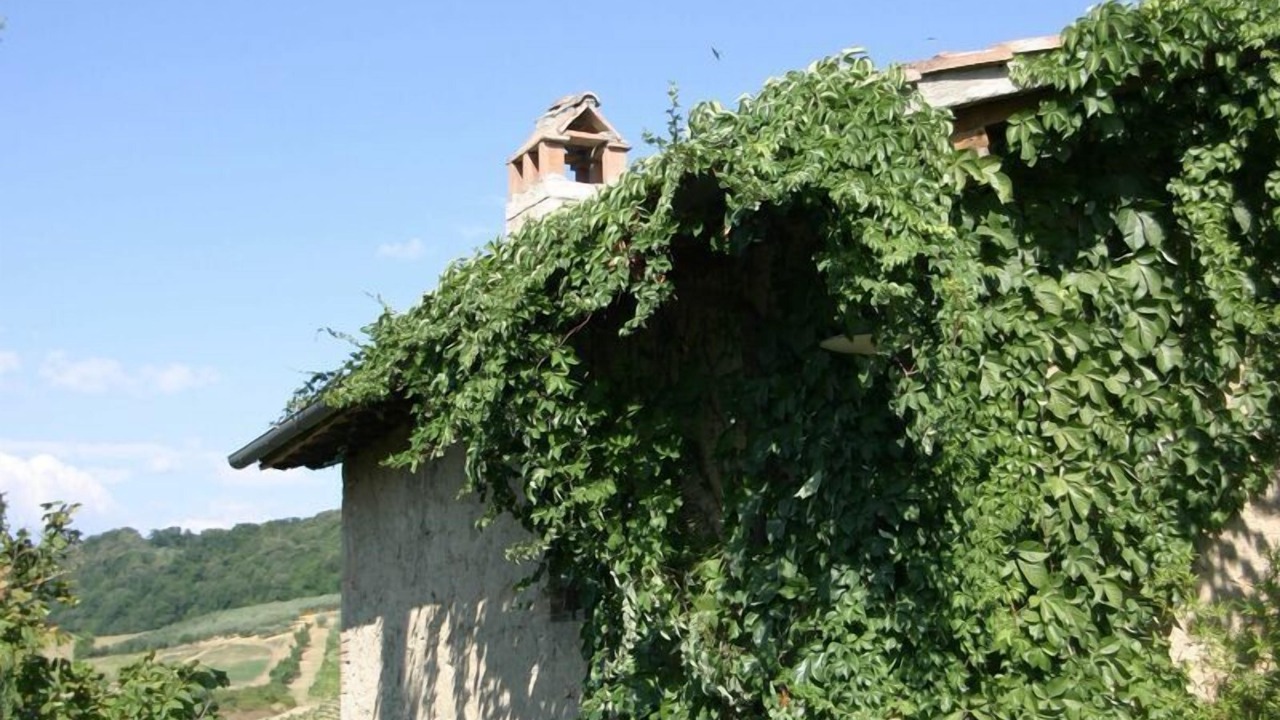 Photo of Outdoor in Poggibonsi