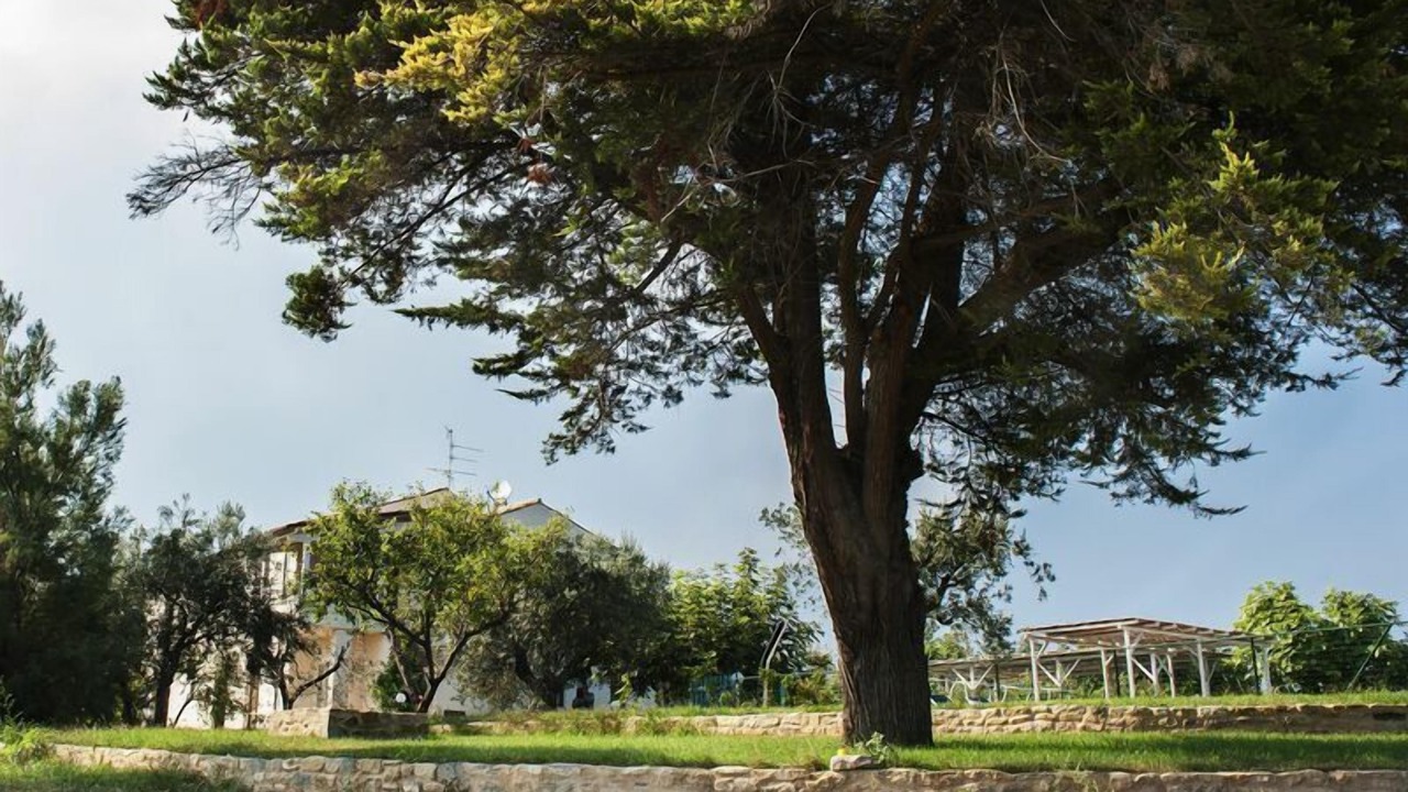 Photo of Outdoor in Cupra Marittima