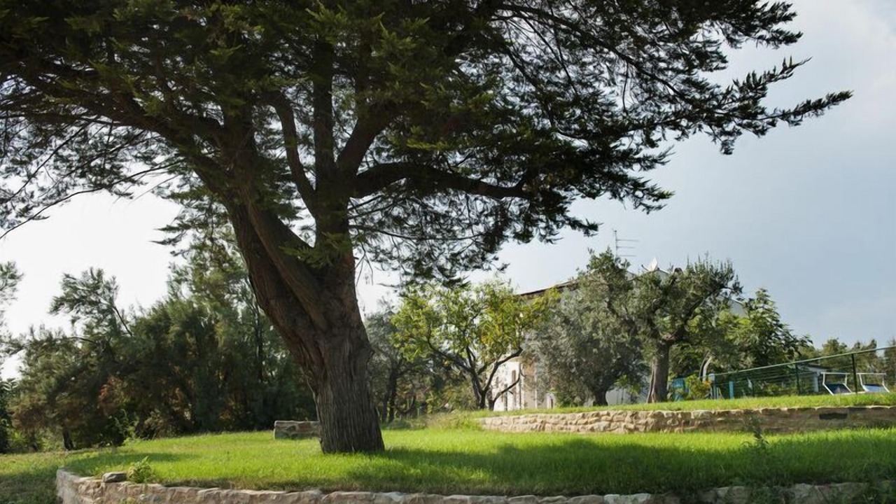 Photo of Outdoor in Cupra Marittima