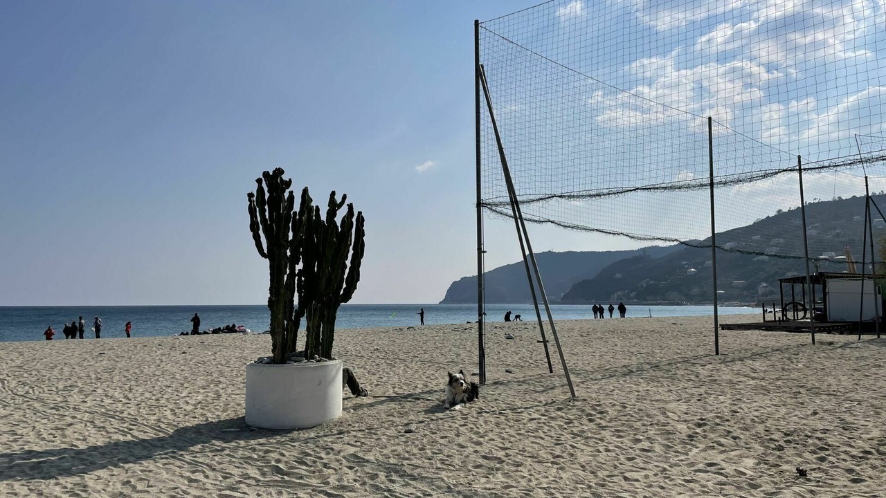 Photo of Outdoor in Spotorno