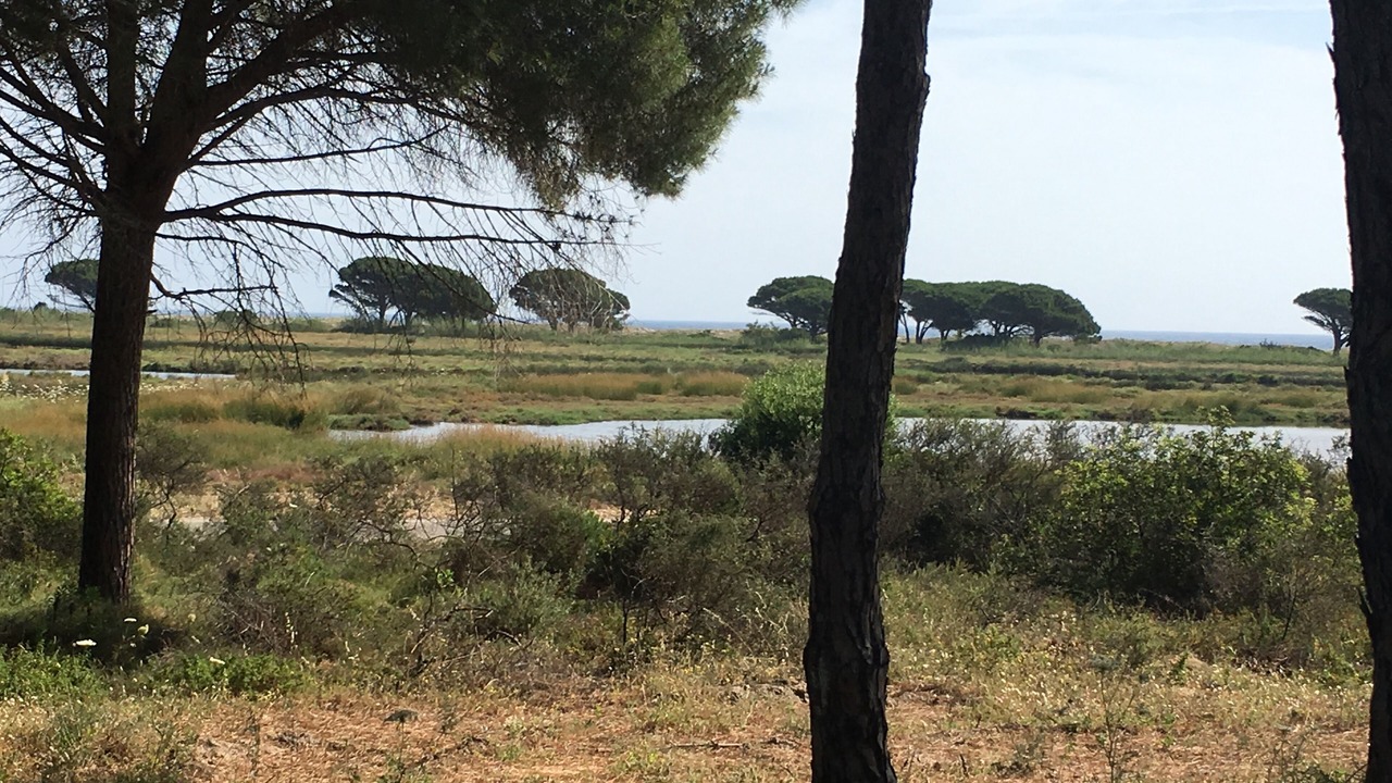 Photo of Outdoor in San Giovanni