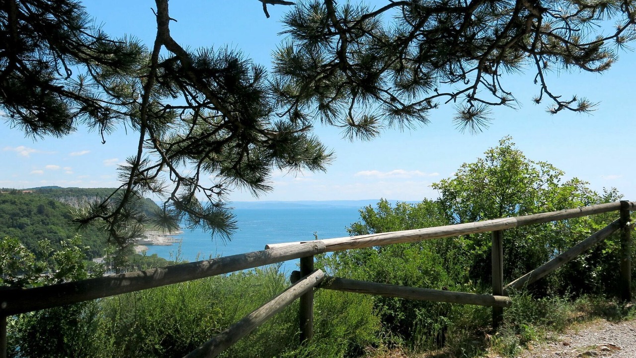 Photo of Outdoor in Sistiana