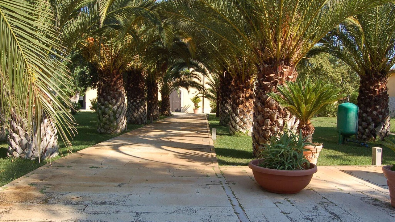 Photo of Outdoor in Santa Maria