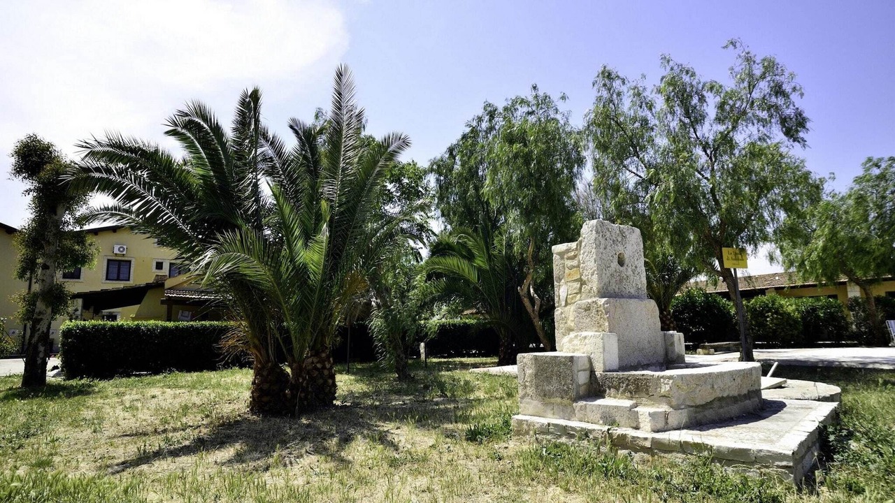 Photo of Outdoor in Santa Maria