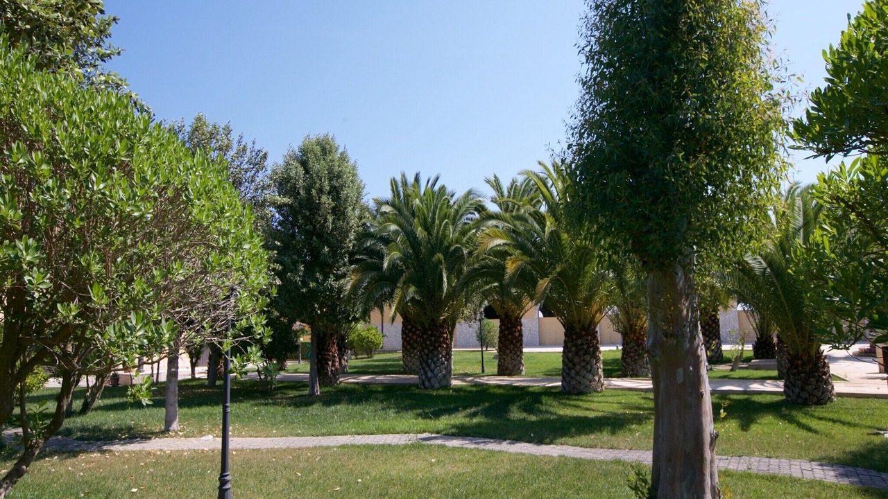 Photo of Outdoor in Santa Maria