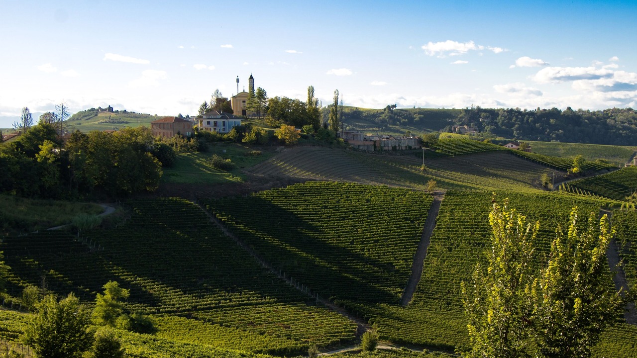 Photo of Others in Costigliole d'Asti
