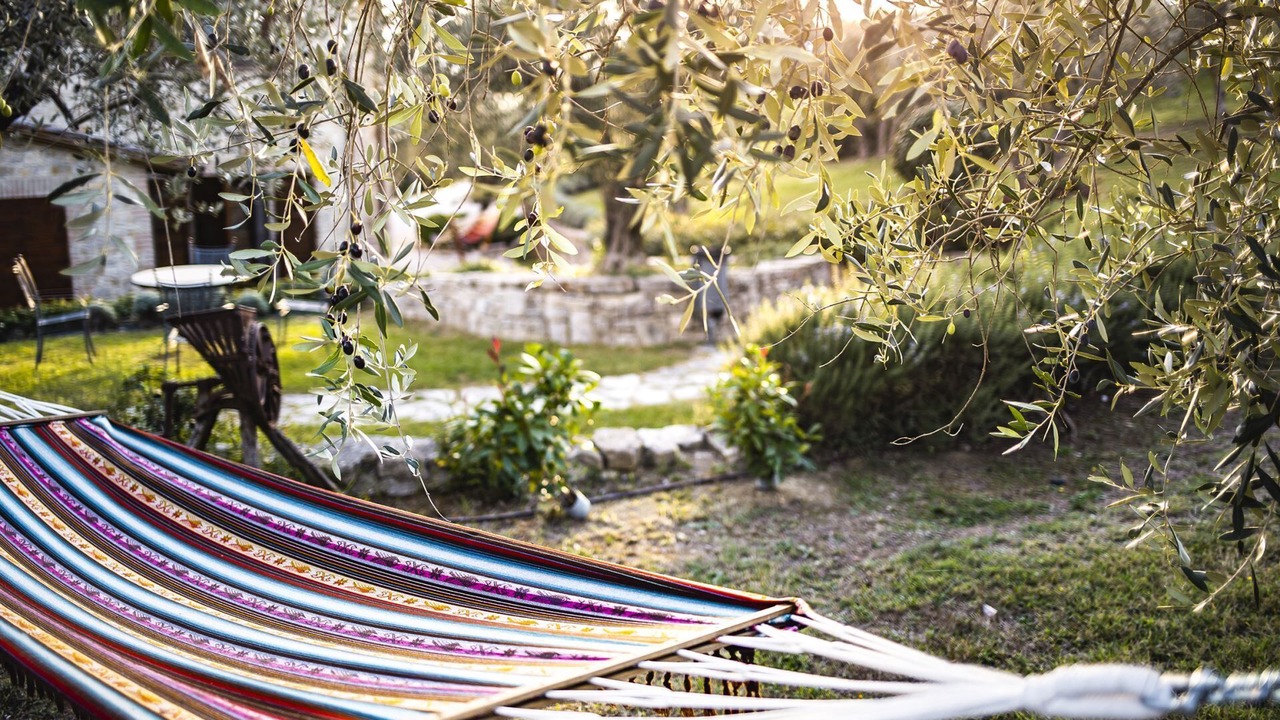 Photo of Outdoor in Collazzone