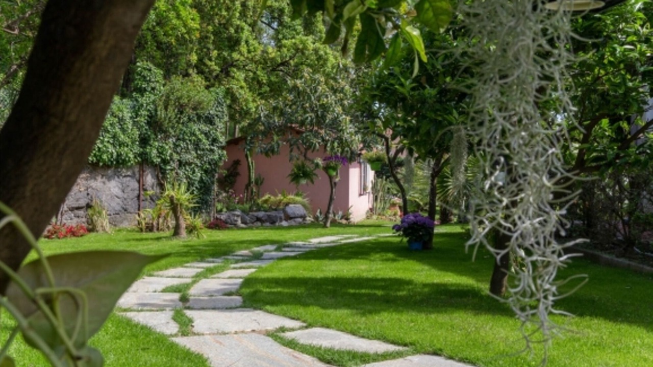 Photo of Outdoor in Loano