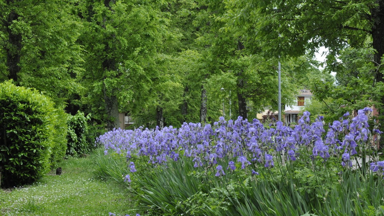 Photo of Outdoor in Valentano