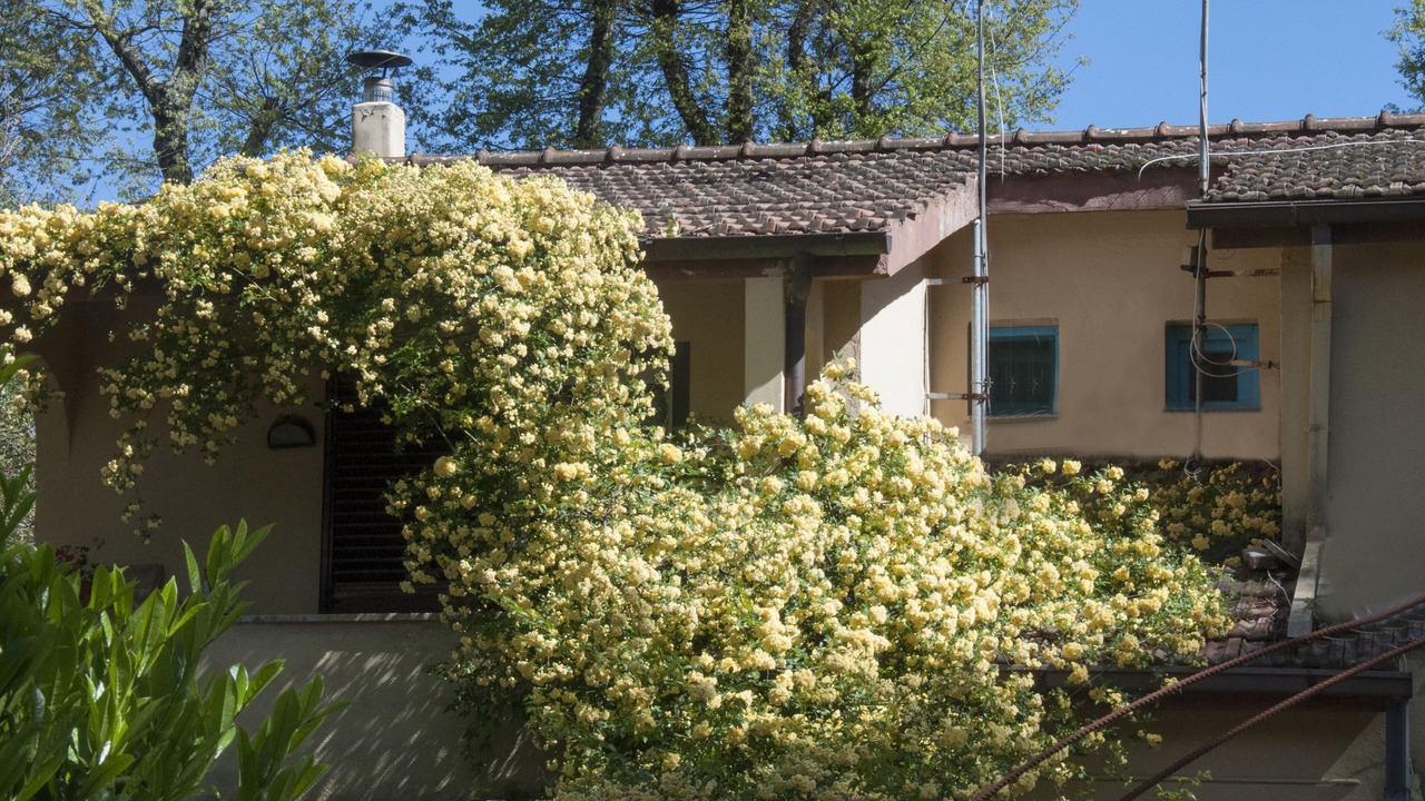 Photo of Outdoor in Valentano