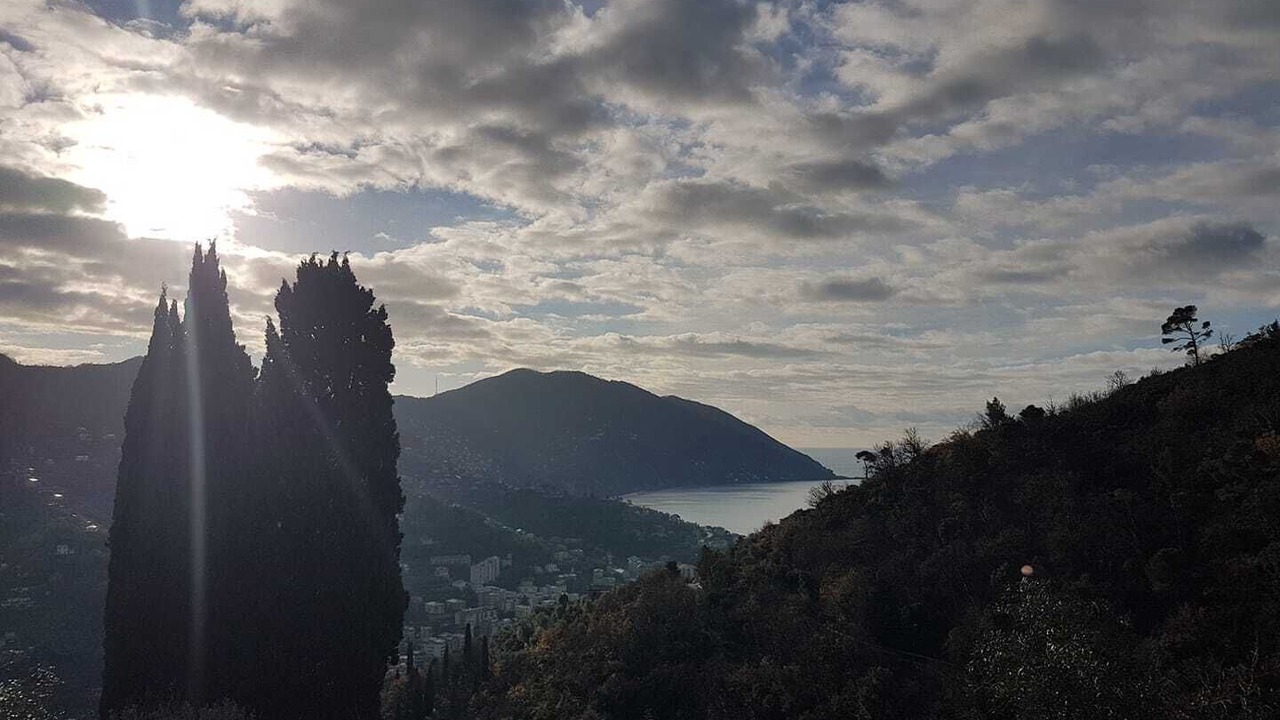Photo of Others in Recco