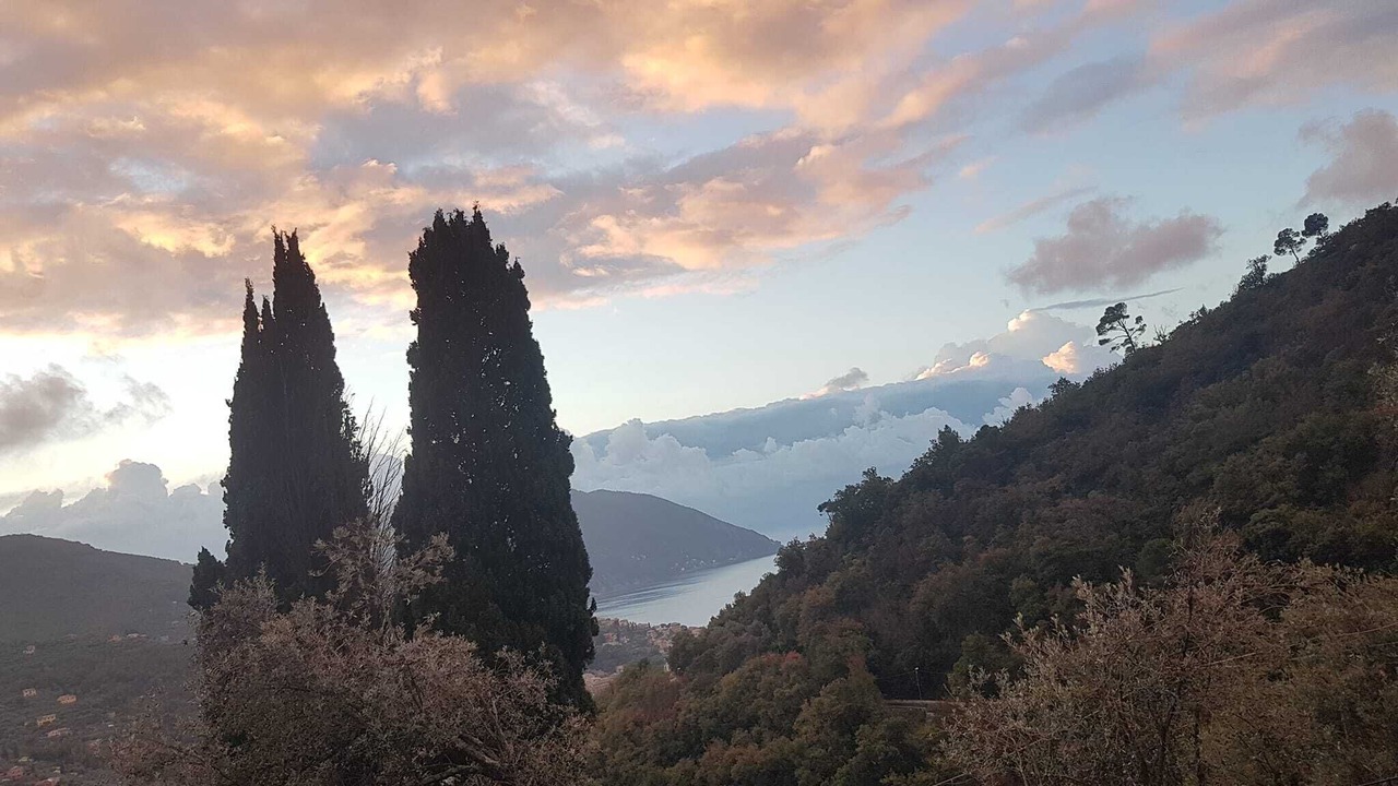 Photo of Others in Recco