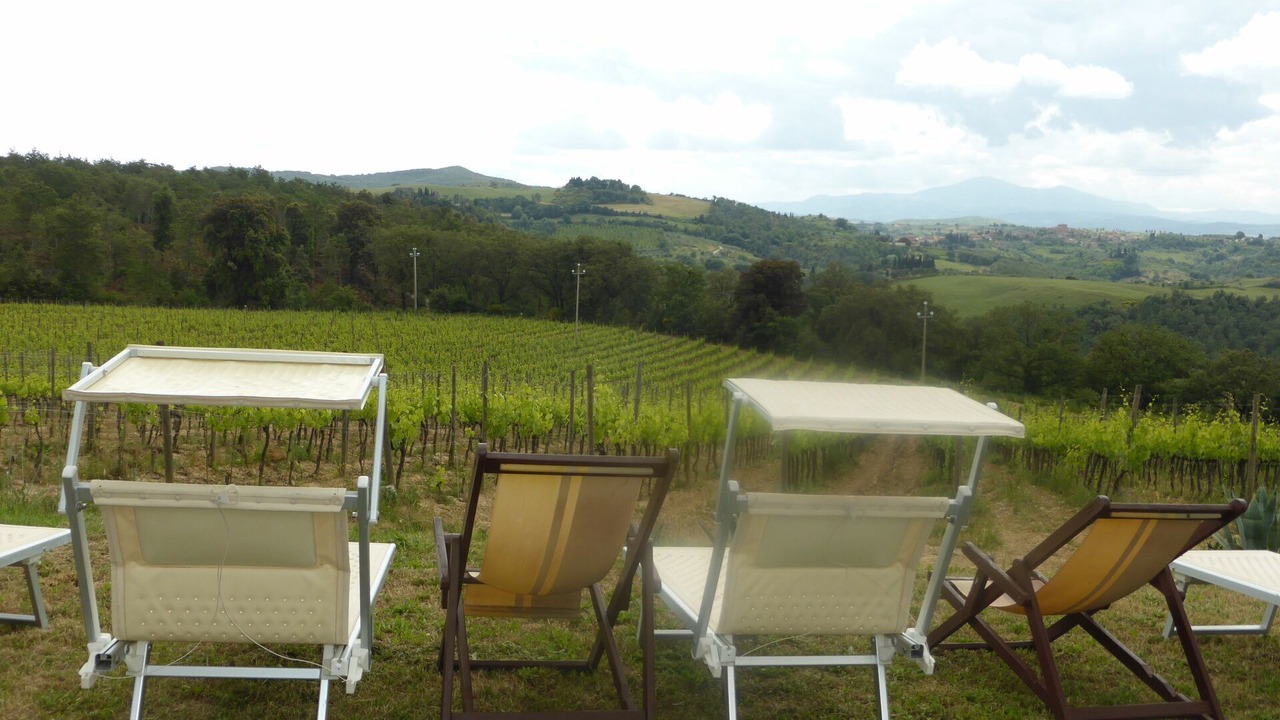 Photo of Outdoor in Trequanda