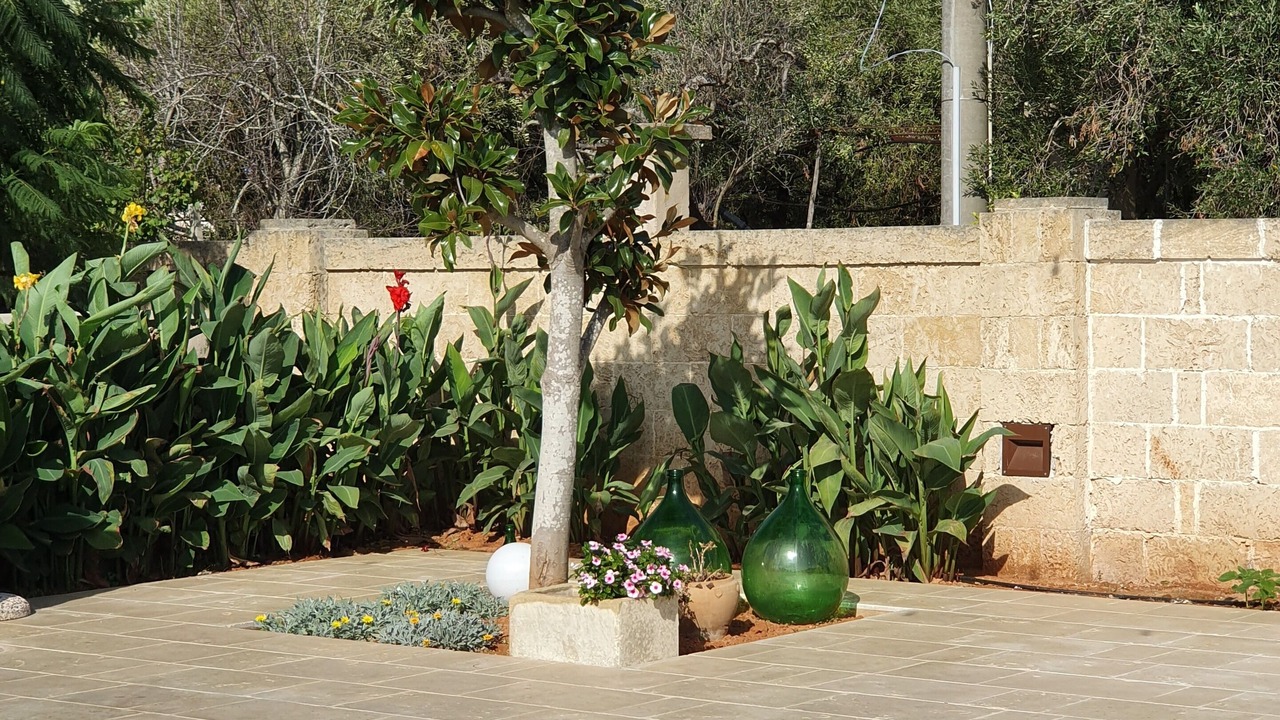Photo of Outdoor in Matino