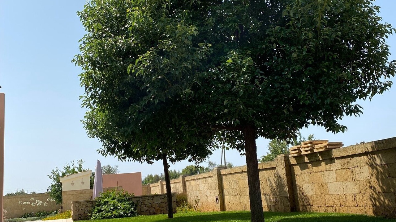 Photo of Outdoor in Matino