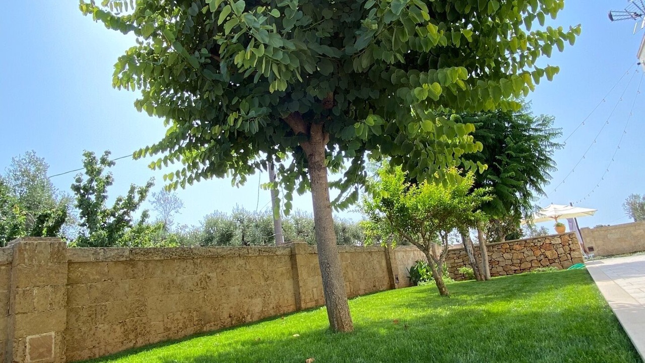 Photo of Outdoor in Matino