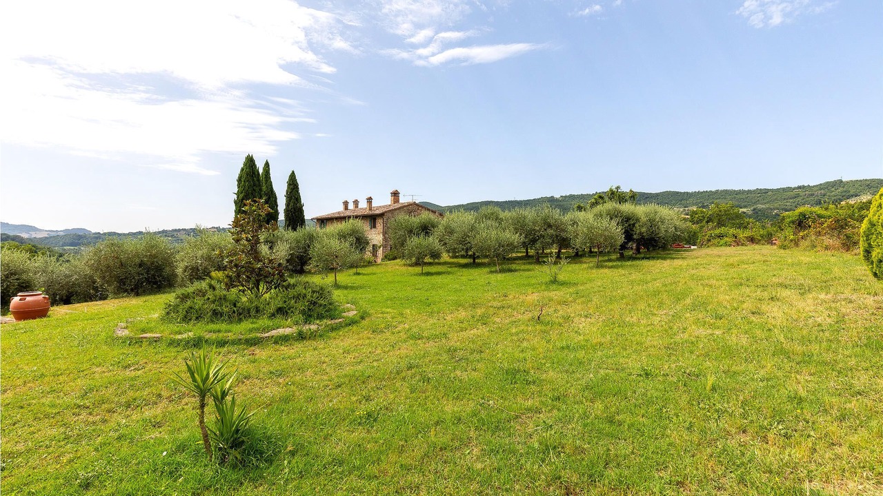 Photo of Others in Monte Castello di Vibio