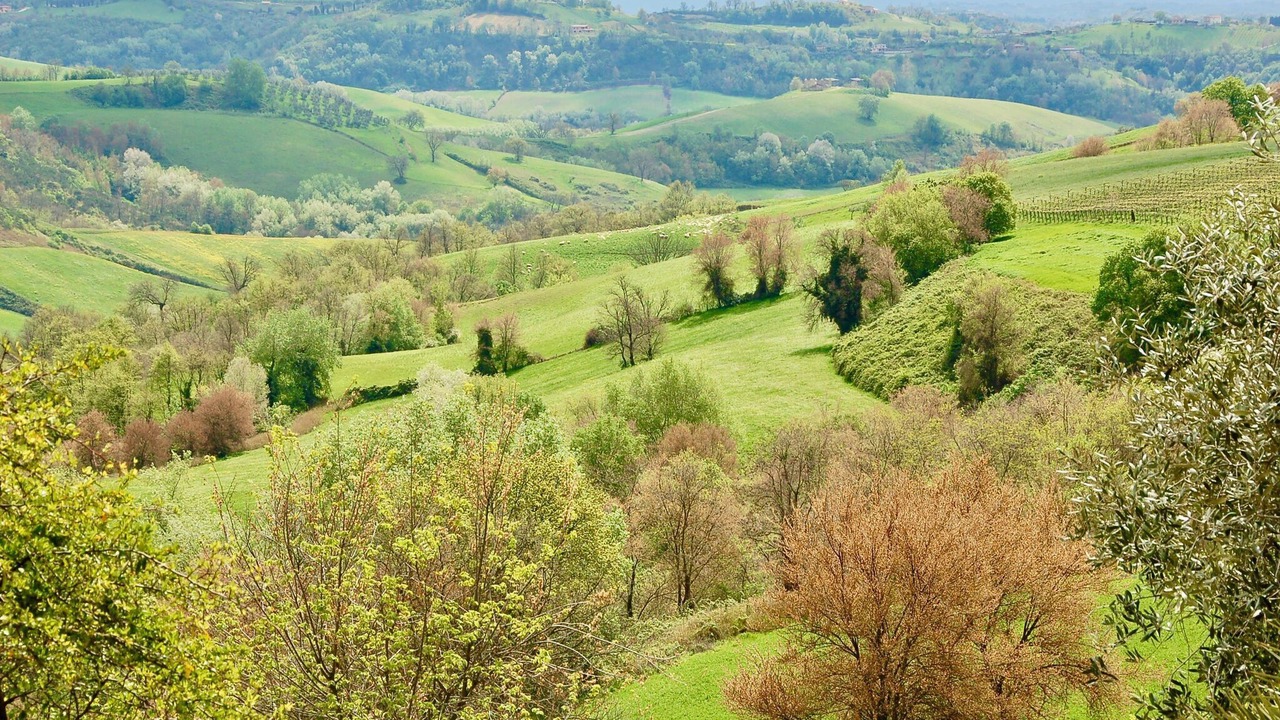 Photo of Others in Magliano Sabina