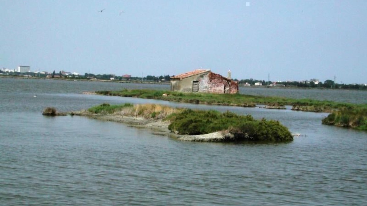 Photo of Others in Lido degli Estensi